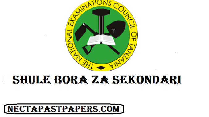 Top 100 Best Secondary Schools in Dodoma | Shule Bora za Sekondari Dodoma