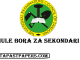 Top 100 Best Secondary Schools in Dodoma | Shule Bora za Sekondari Dodoma