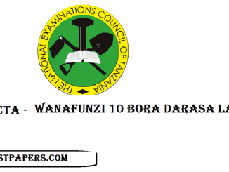 NECTA Wanafunzi 10 Bora Darasa la Saba 2024/2025 | PSLE Results Top 10 Students