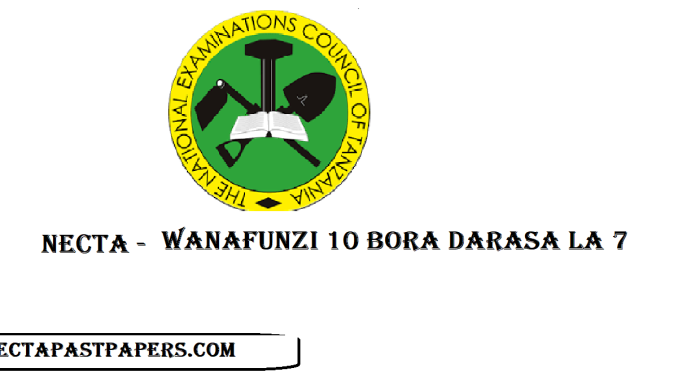 NECTA Wanafunzi 10 Bora Darasa la Saba 2024/2025 | PSLE Results Top 10 Students